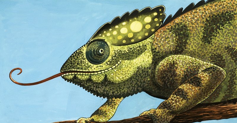 The Giant Chameleon by English School