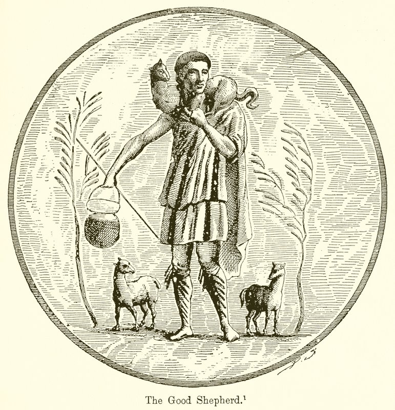 İyi çoban by English School