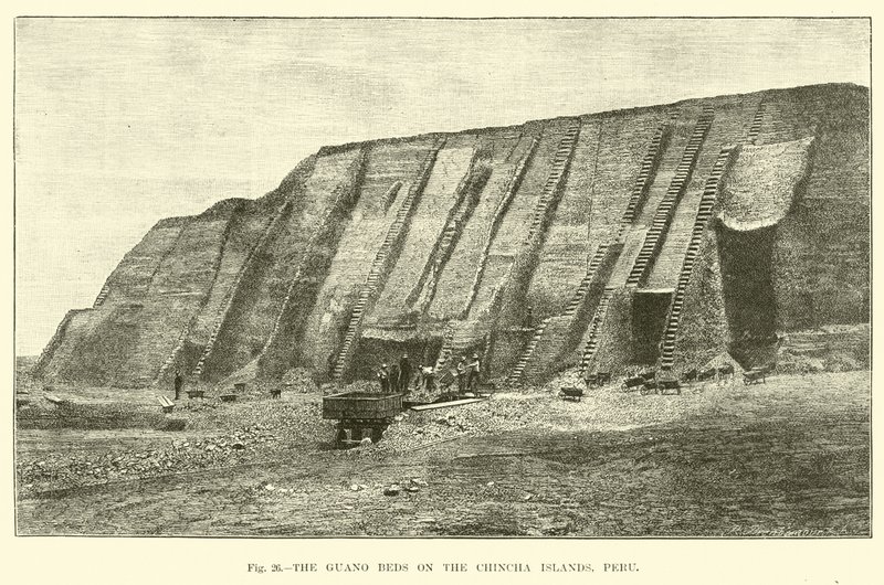 Chincha Adaları