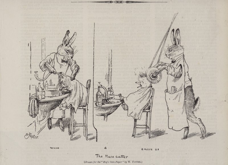 tavşan kesici by English School