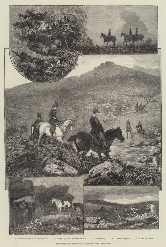 Dartmoor