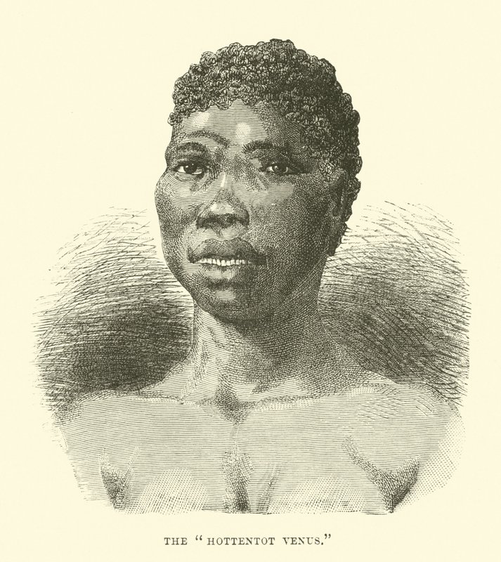 Hottentot Venüs by English School