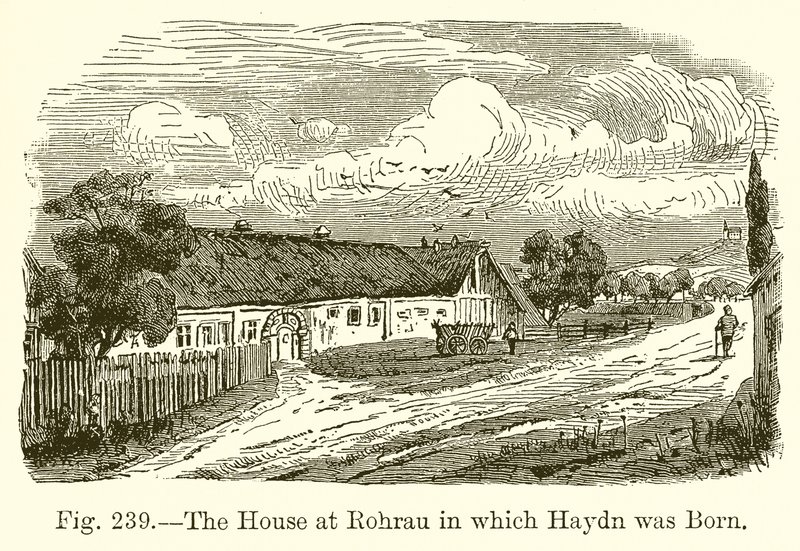 Haydn