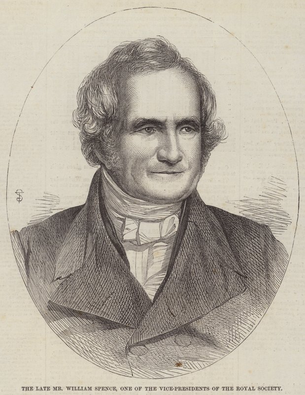 Rahmetli Bay William Spence, Kraliyet Cemiyeti Başkan Yardımcılarından Biri (gravür) by English School