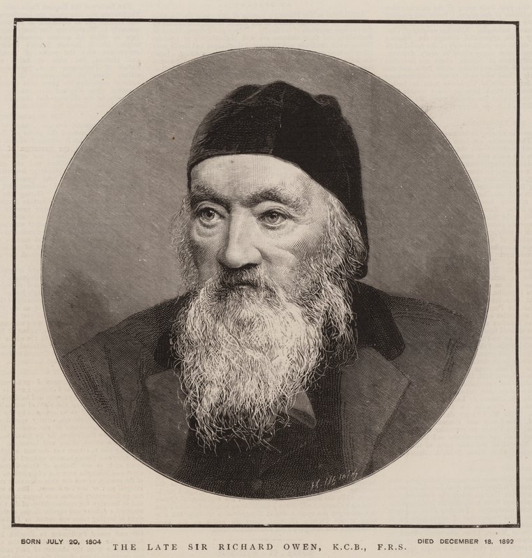 Geç Sir Richard Owen, KCB, FRS (gravür) by English School