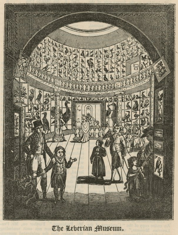 Leveryan Müzesi by English School