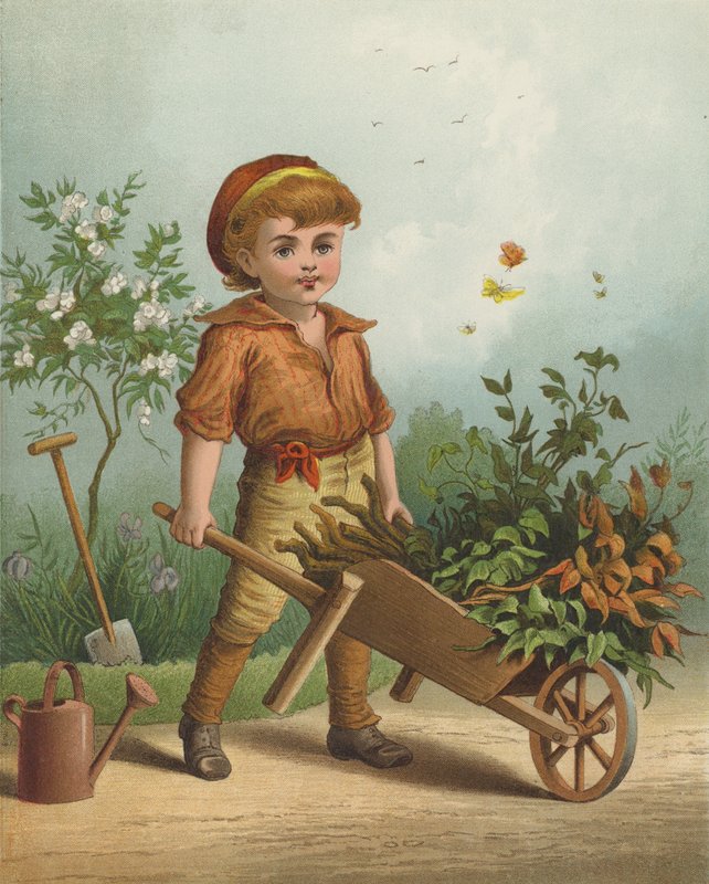 Küçük Bahçıvan (chromolitho) by English School