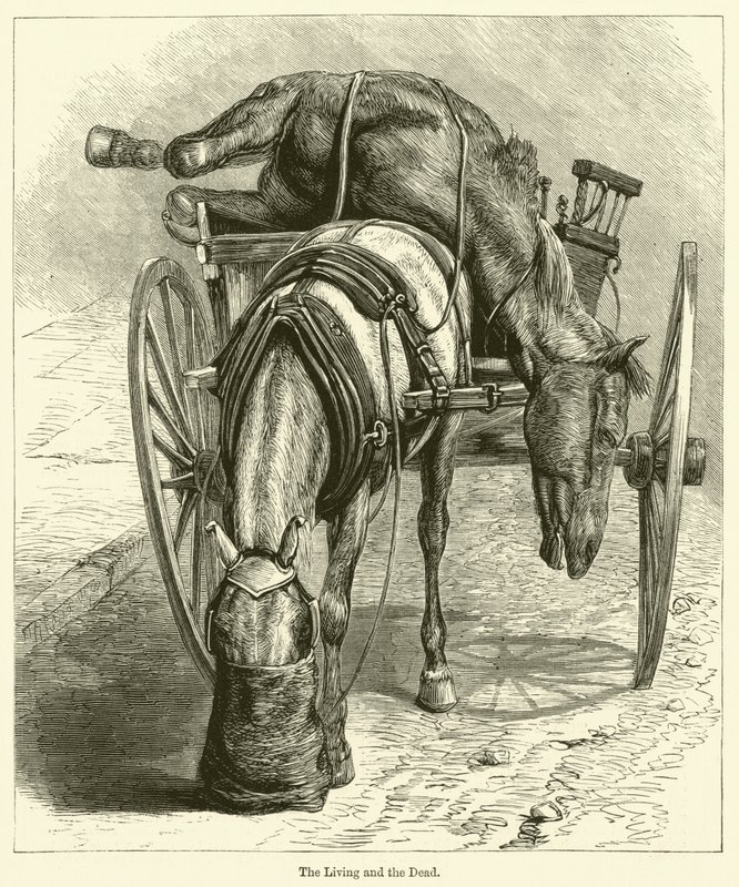 Yaşayanlar ve Ölüler (gravür) by English School