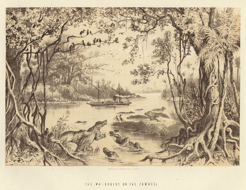Zambesi