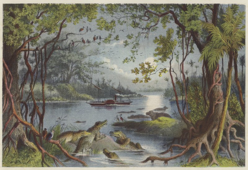 Zambesi Nehri üzerindeki Ma-Robert by English School