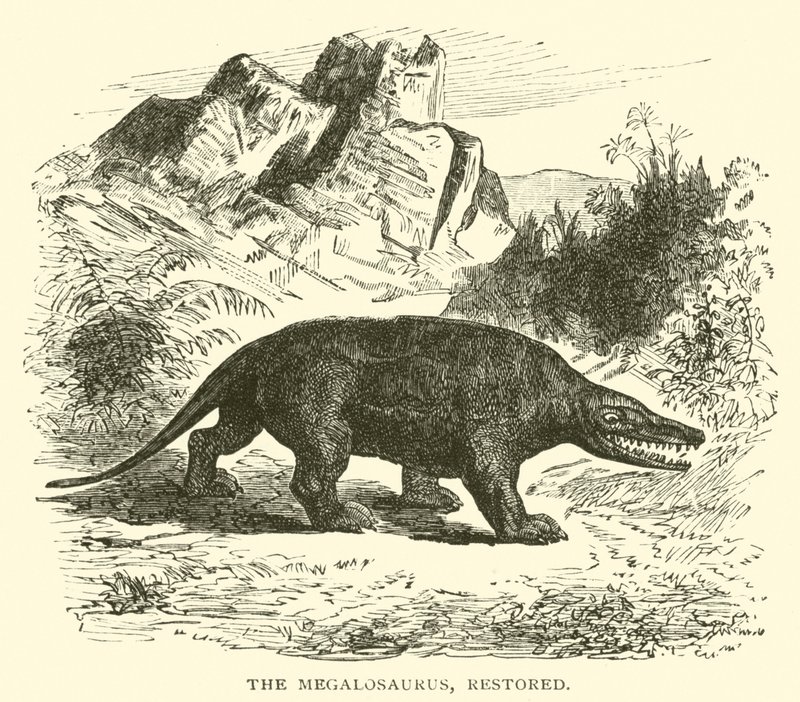Megalosaurus, restore edilmiş (gravür) by English School