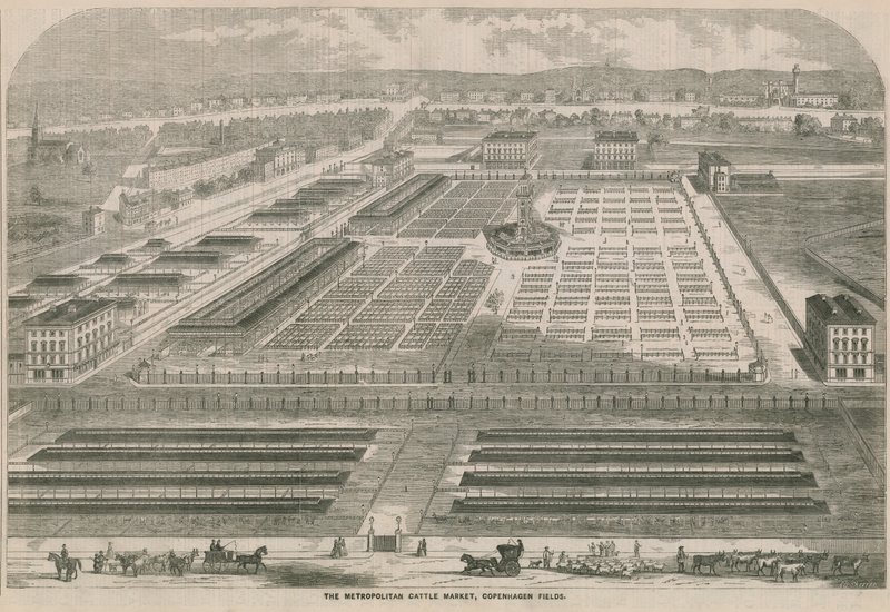 Metropolitan Sığır Pazarı, Kopenhag Fields, Londra by English School