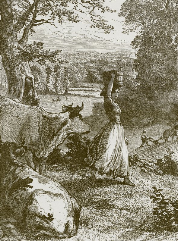 Sütçü Kızların Hayatı by English School