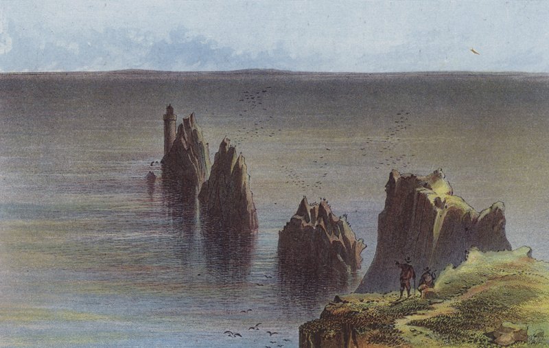 iğneler by English School