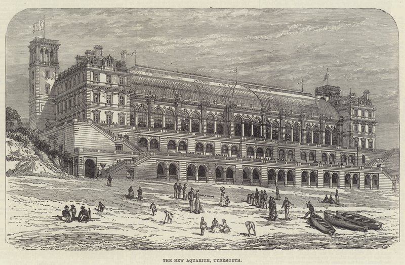 Yeni Akvaryum, Tynemouth (gravür) by English School