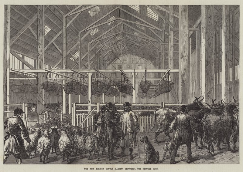 Yeni Yabancı Sığır Pazarı, Deptford, Merkez Kulübe (gravür) by English School