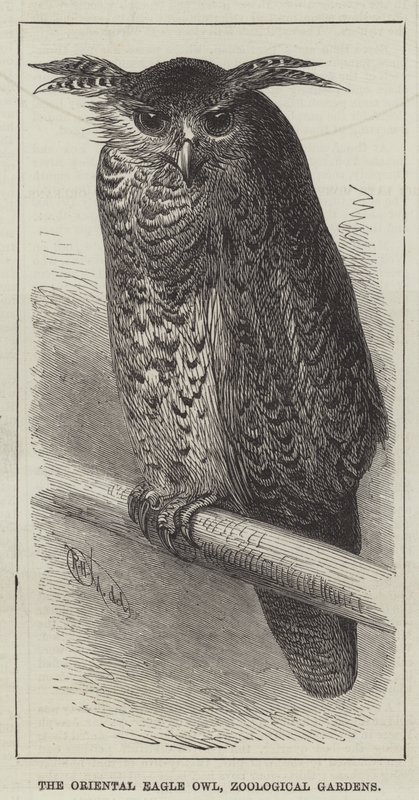 Connaught Dükü, Guildhall