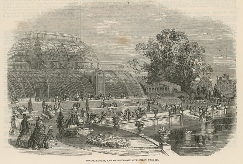 Palmiye Evi, Kew Bahçeleri, Londra by English School