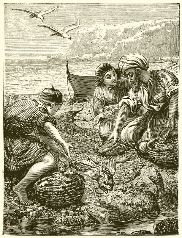 Ağın benzetmesi by English School