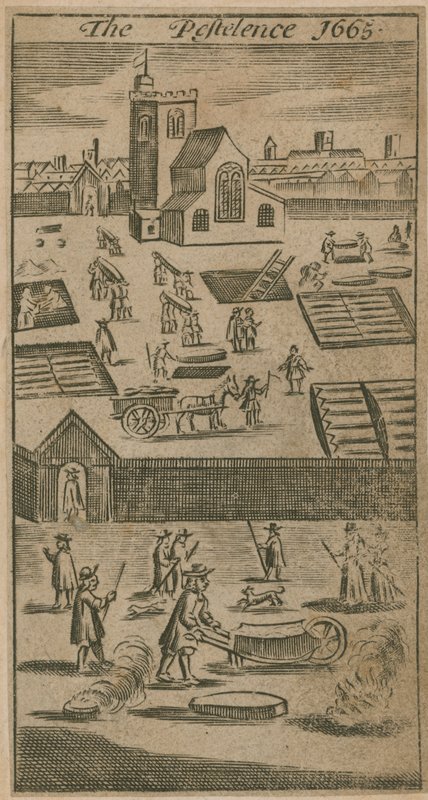 Zararlı 1665 by English School
