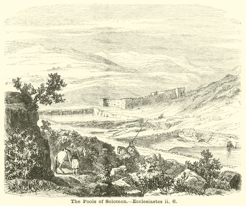 Süleyman