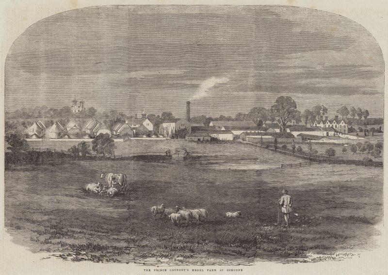 Osborne