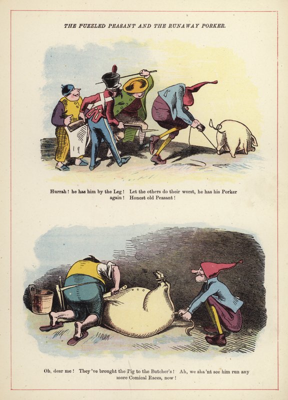 Şaşkın Köylü ve Kaçak Domuz Eti (renkli taş) by English School