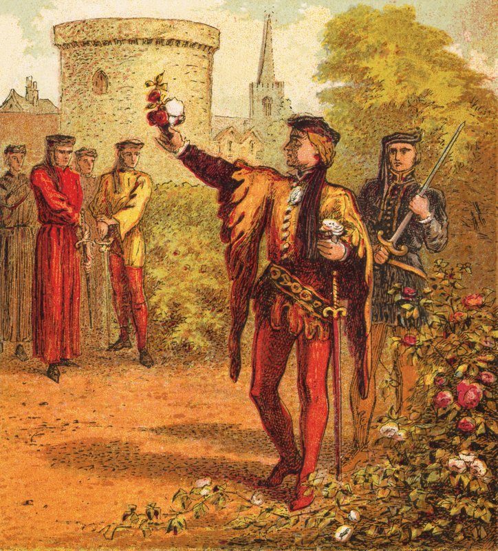 Kırmızı ve Beyaz Güller by English School
