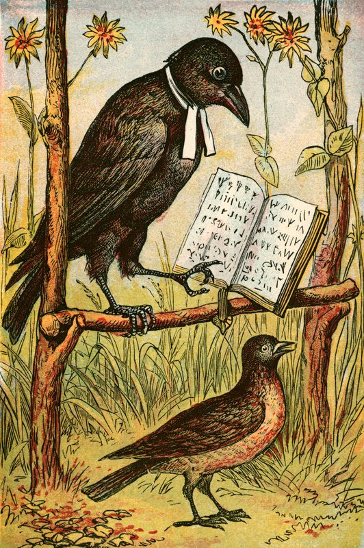Kale ve Lark by English School