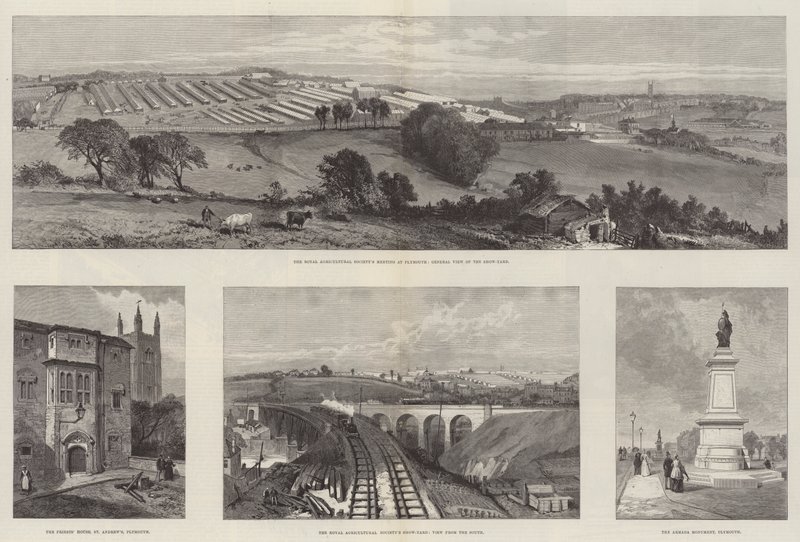 Plymouth'daki Kraliyet Tarım Derneği Toplantısı (gravür) by English School