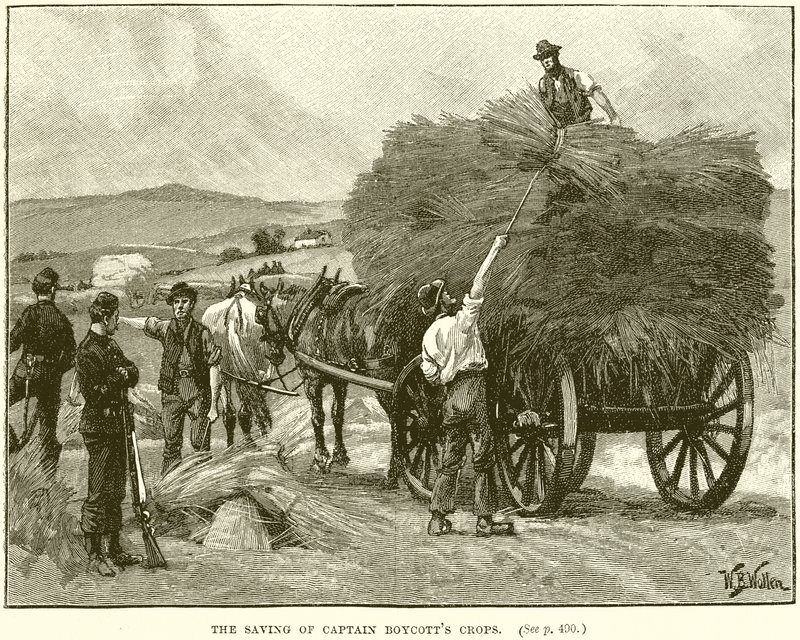 Kaptan Boykot Mahsullerinin Tasarrufu by English School