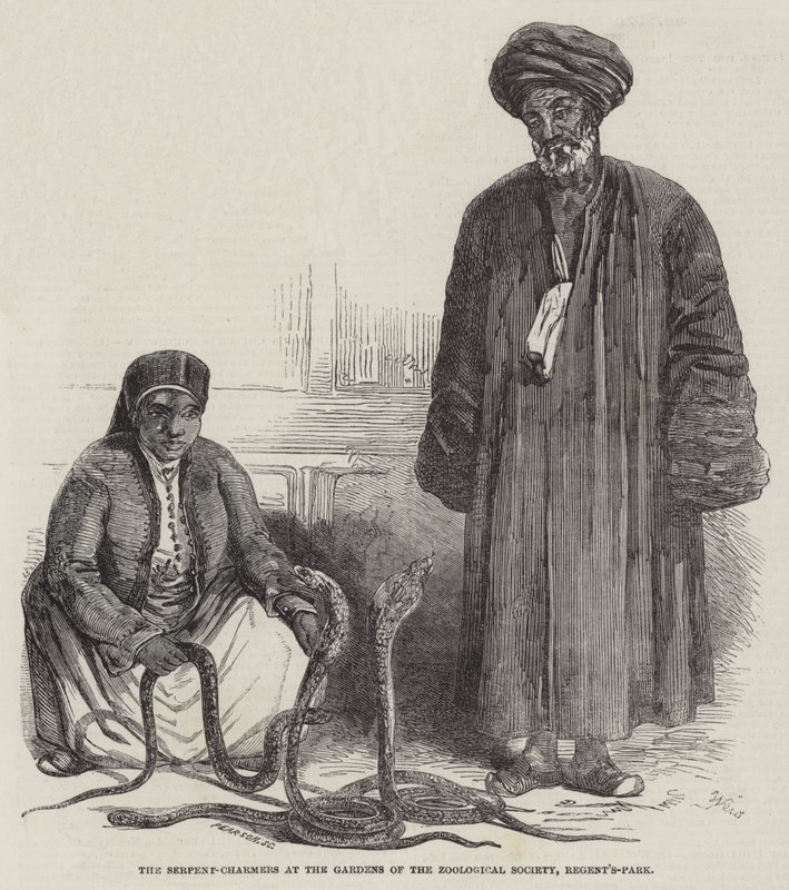 Regent