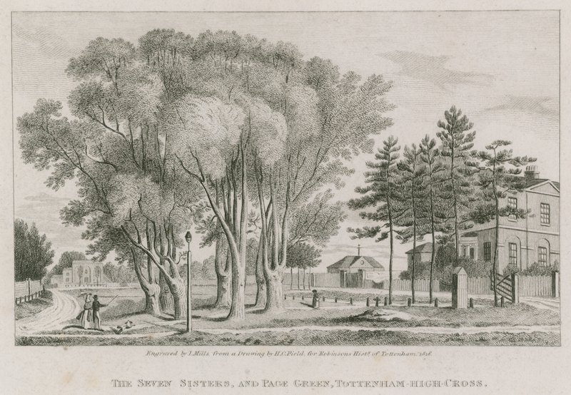 Seven Sisters ve Page Green, Tottenham High-Cross, Londra by English School