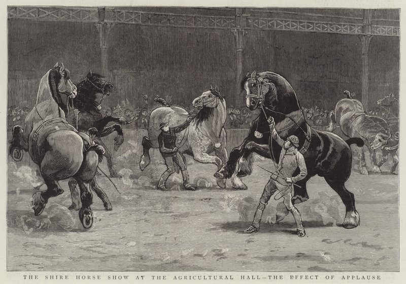 Ziraat Salonundaki Shire At Gösterisi, Alkışların Etkisi (gravür) by English School