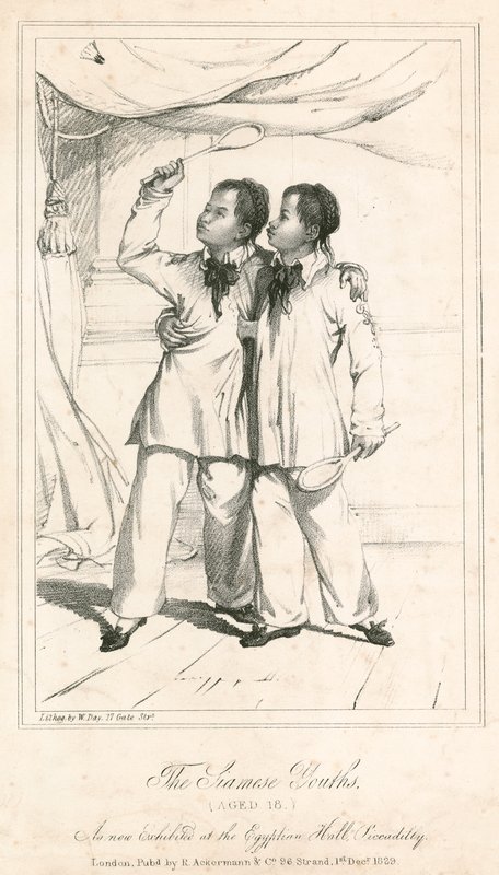 Siyam Gençleri (18 yaşında), Mısır Salonu, Piccadilly