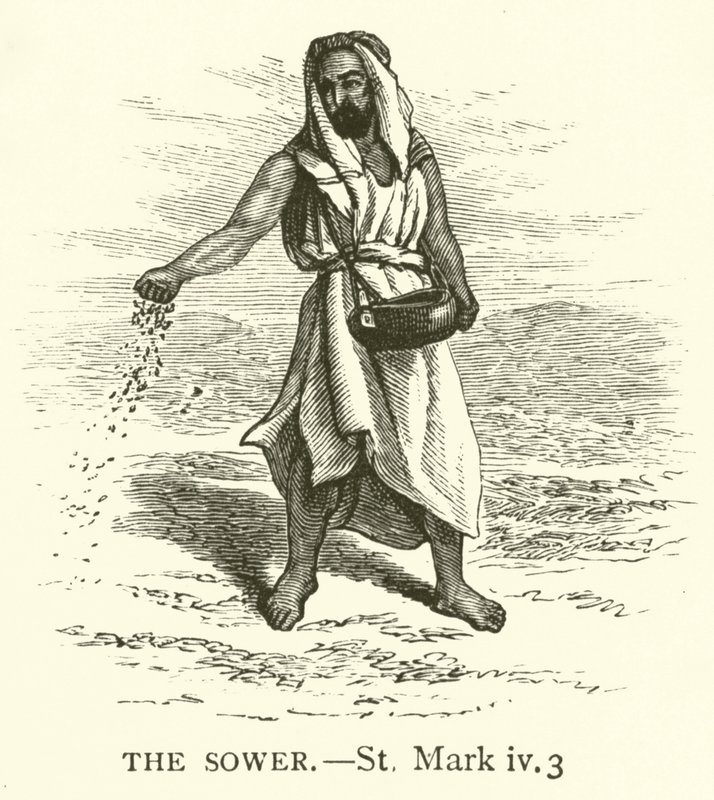 The Sower, St Mark, iv, 3 (gravür) by English School