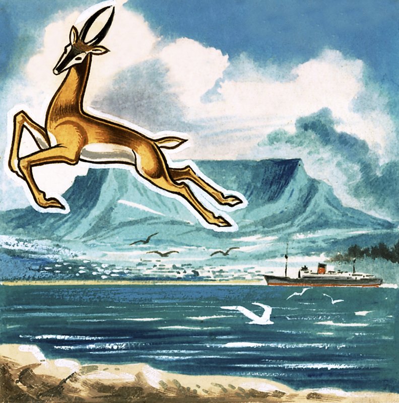 Springbok, Güney Afrika