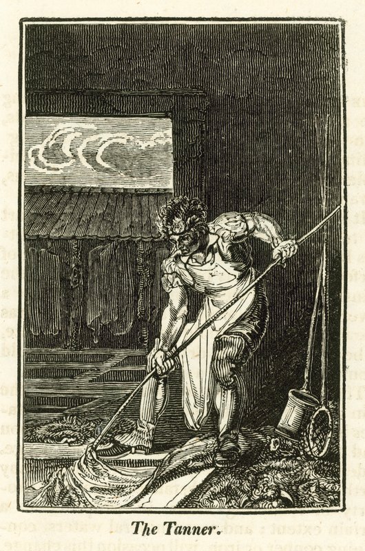 Tanner (gravür) by English School