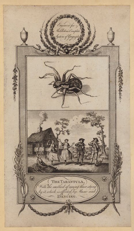 Tarantula, sokulanları iyileştirme yöntemi ile Müzik ve Dans (gravür) ile gerçekleştirilir. by English School