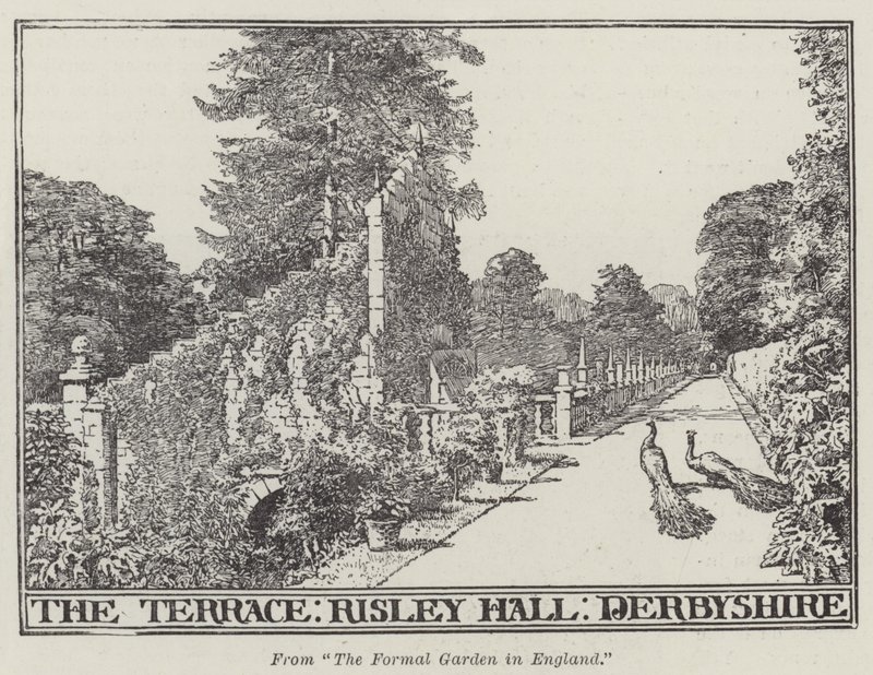 Teras, Risley Hall, Derbyshire (gravür) by English School