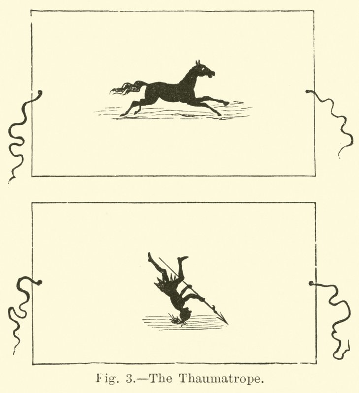 Thaumatrope by English School