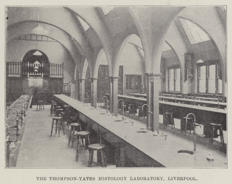 Thompson-Yates Histoloji Laboratuvarı, Liverpool (gravür) by English School