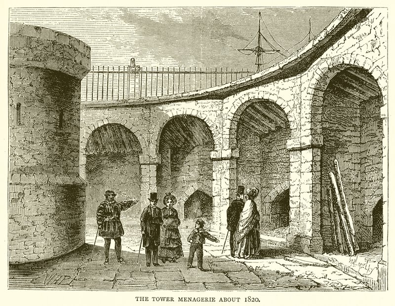 Kule Menagerie yaklaşık 1820 by English School