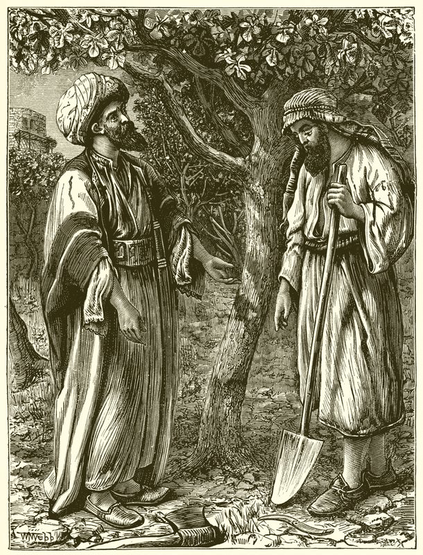 meyve vermeyen ağaç by English School