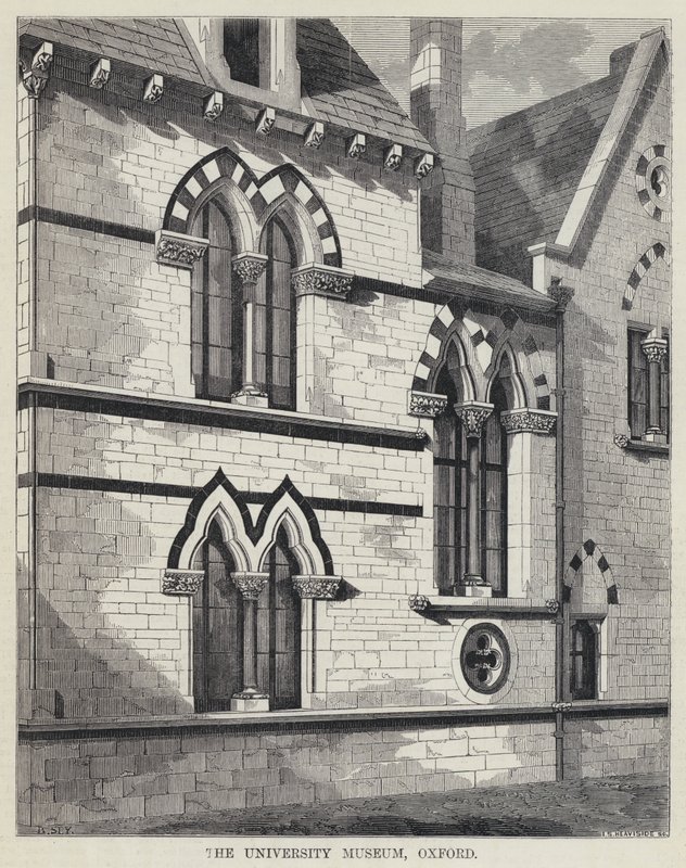 Üniversite Müzesi, Oxford (gravür) by English School
