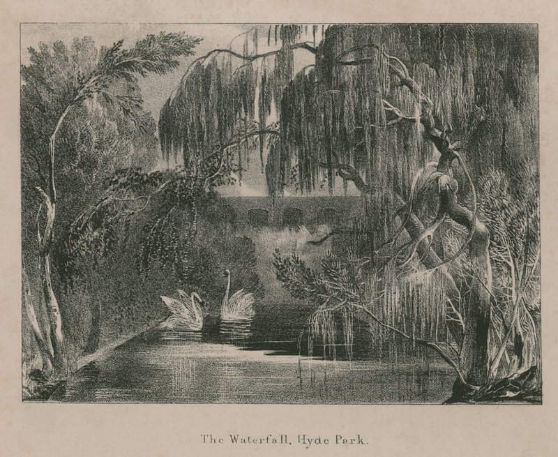 Şelale, Hyde Park, Londra by English School