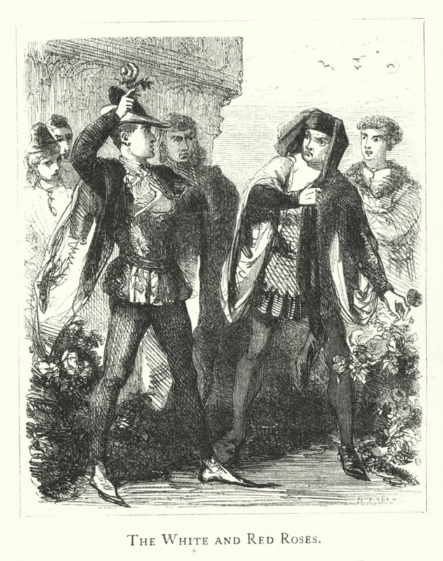 Beyaz ve Kırmızı Güller (gravür) by English School