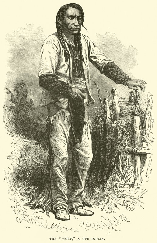 Kurt, bir Ute Kızılderilisi by English School