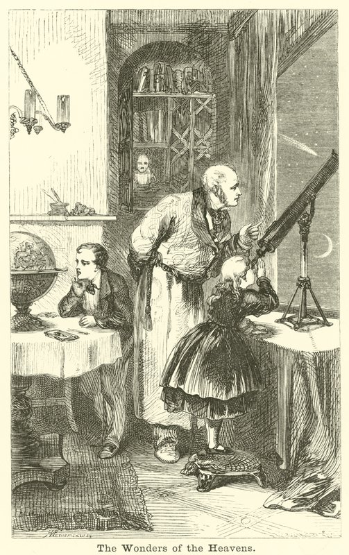 Cennetin Harikaları by English School