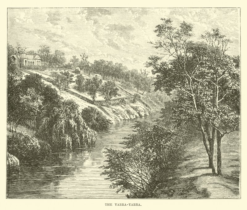 Yarra-yarra by English School